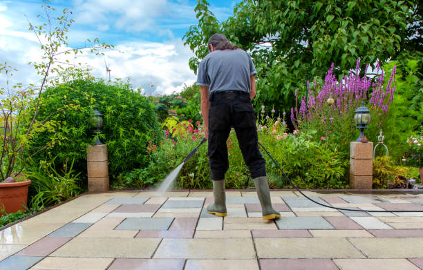 Best Driveway Cleaning and Restoration in Virginia Beach, VA