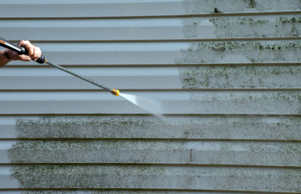 Professional Pressure Washing Services in Virginia Beach, VA